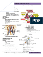 Anatomy Notes