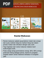 Download Kul 4 Rantai Makanan Jaring Jaring Makanan Tingkat Trop1 by luqman_H SN358253613 doc pdf