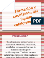 Formación y Circulación Del Líquido Cefalorraquídeo