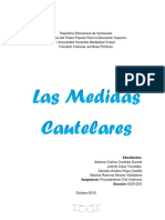 Trabajo Medidas Cautelares.docx