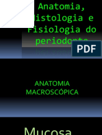 Periodonto de Proteção