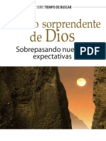 Br G2254 Diossorprendente ESP WEB