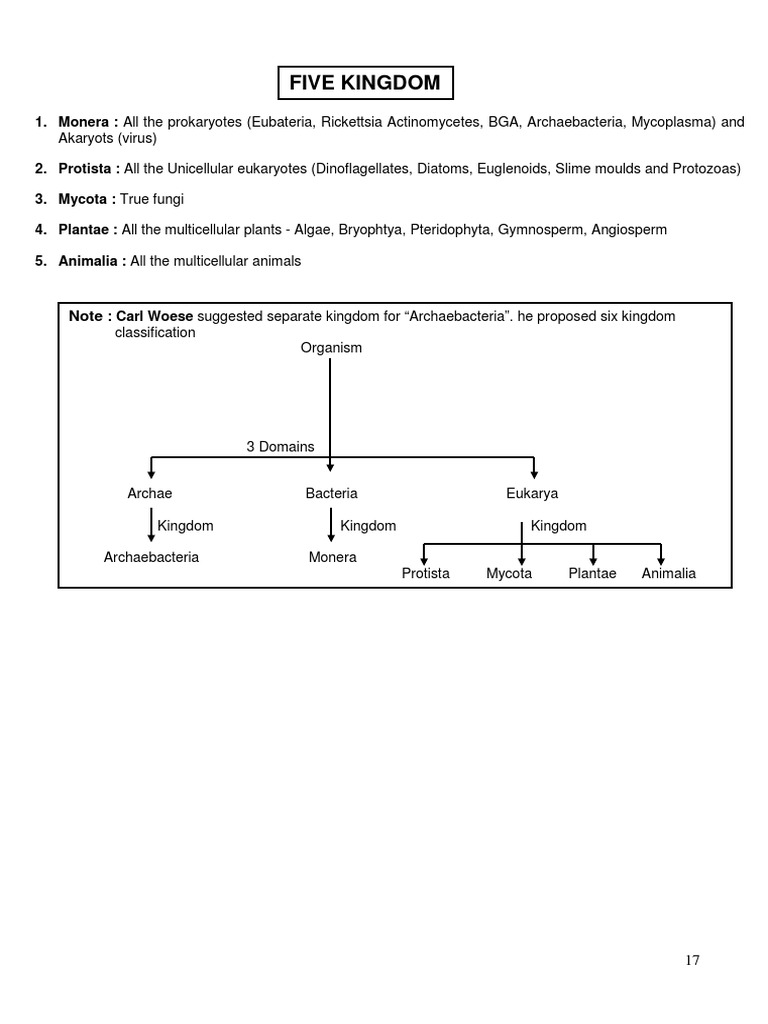 Biology: Five Kingdom Classification | PDF | Prokaryote | Cell (Biology)