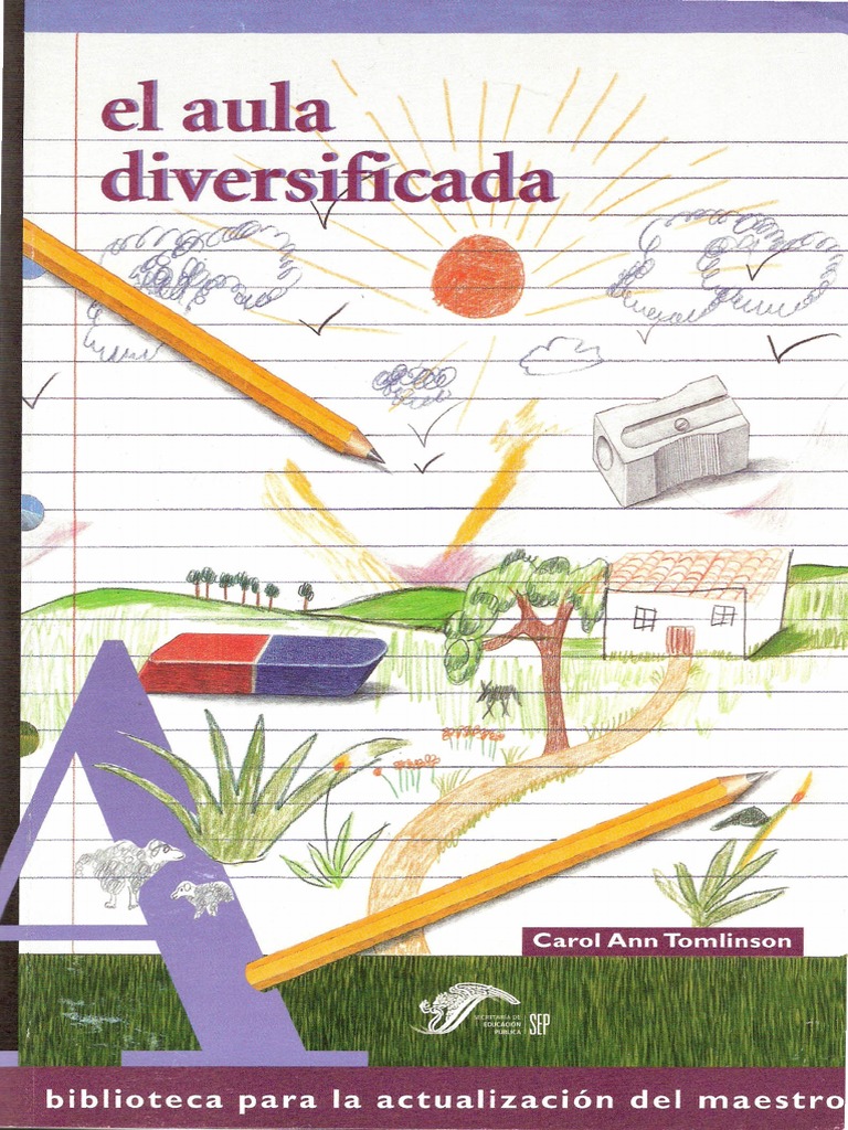 El Aula Diversificada Educación primaria Aprendizaje