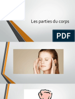 Les Parties Du Corps