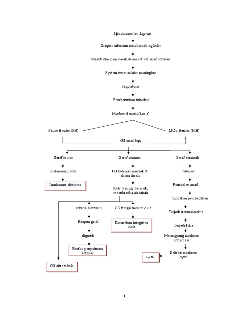 Pathway Penyakit Kusta | PDF
