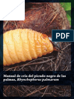 Manual de Cría Del Picudo Negro de Las Palmas Rhynchophorus Palmarum