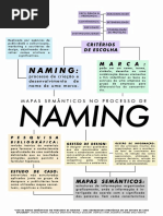 Mapas Semânticos no processo de Naming
