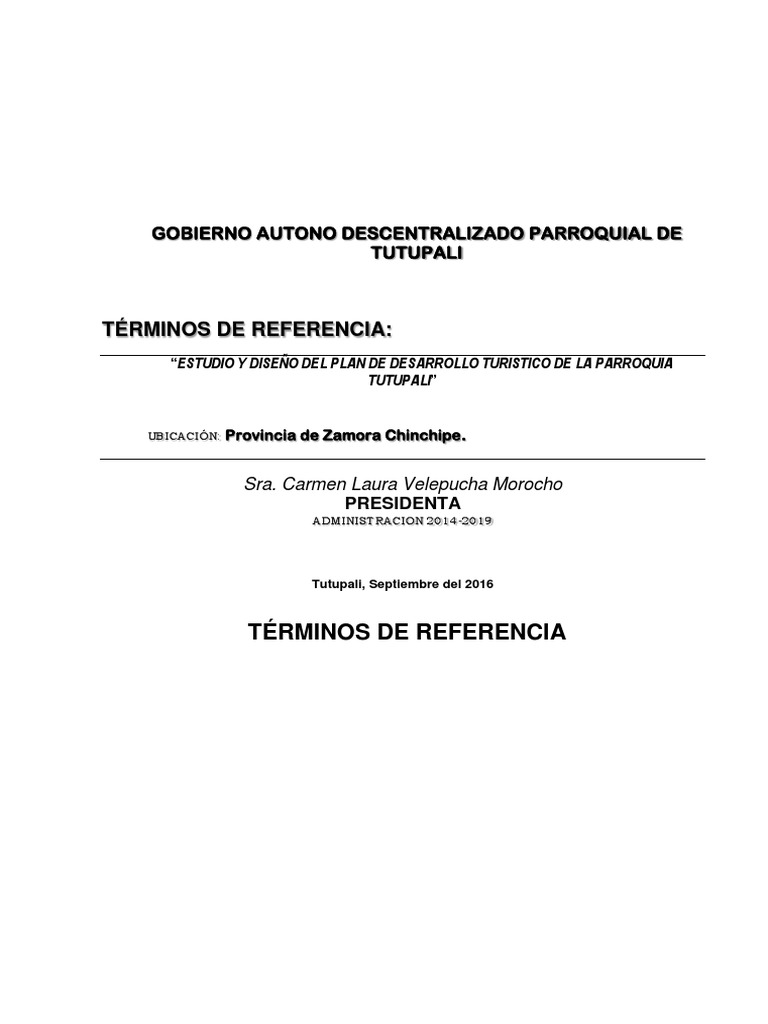 Tdr plan turismo pdf turismo planificaci n
