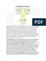 Enfoque Científico Del Egoísmo y El Altruismo DEL AMOR