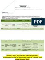 Programación Analítica Individual