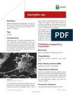 Ficha Aspergillus spp.pdf
