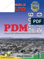 Diagnostico PDM 2006-2010