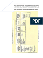 3-oxidacion-y-corrosion.pdf