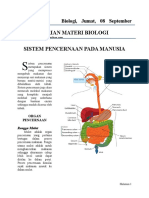 Sistem Pencernaan Pada Manusia