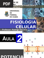 Potencial Eletroquímico Mp 2017-1