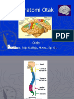 Anatomi Otak Dan Vertebrata