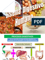 Sistema Digestivo Humano Mejorado