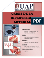 Hipertension Arterial