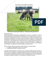 Pastoreo Racional Para Empresas Ganaderas - Colombia- (1)