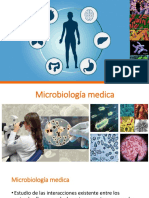 Patogenos Bacterianos LMC