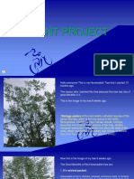 Plant Project by Wineff Gulane