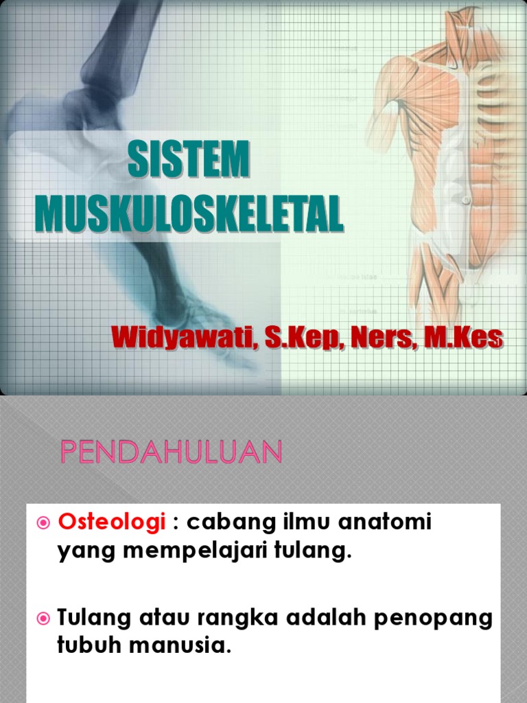 Ilmu Yang Mempelajari Tentang Tulang Rangka Adalah - Cara Mengajarku