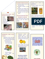1.leaflet Anemia