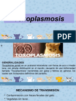 Toxoplasmosisfinal 140905164427 Phpapp01