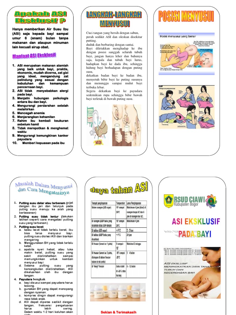 Leaflet Asi Eksklusif Edit | PDF