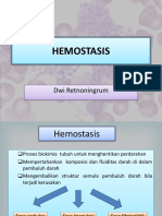 Hemostasis 2014