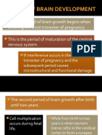 STAGES OF BRAIN DEVELOPMENT PPT by Melf