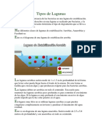 Tipos de Lagunas.pdf