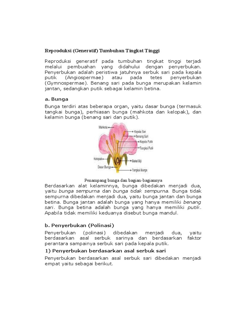  Gambar  Bunga  Sempurna  Dan  Bagiannya  Gambar  Bunga 
