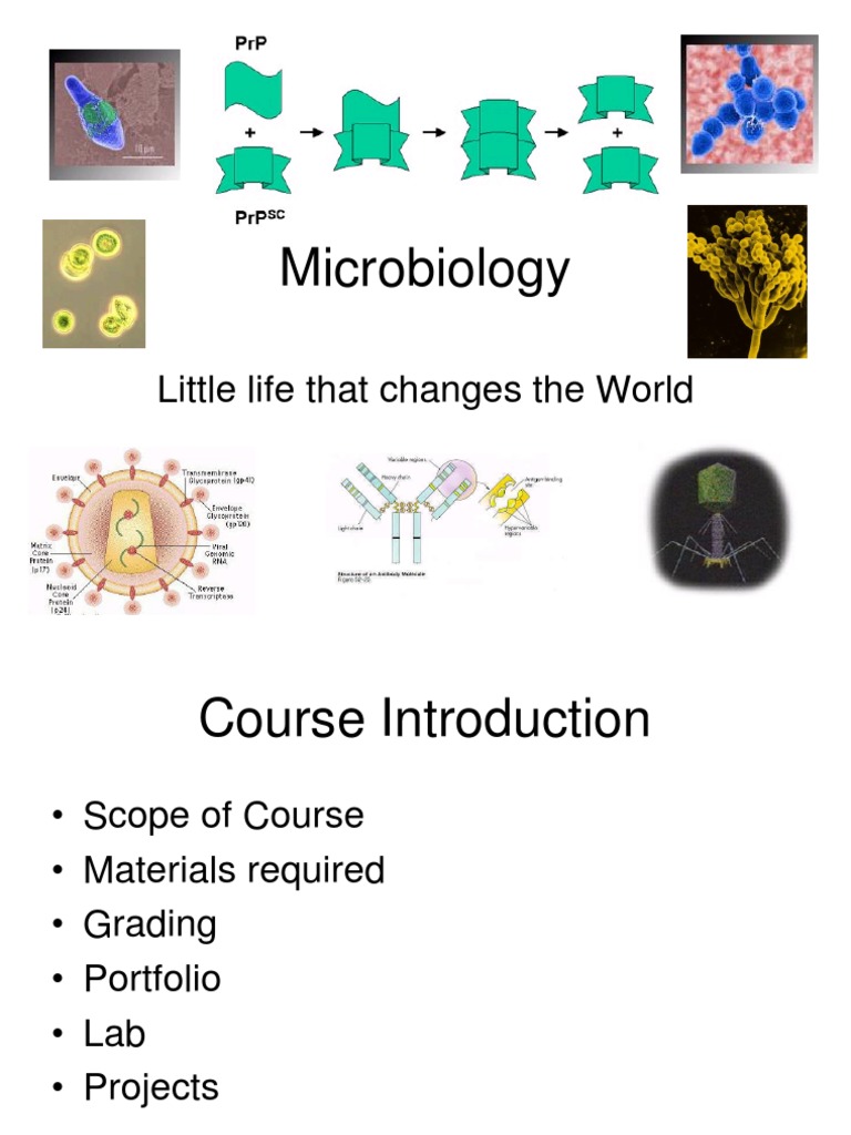 Microbiology: Little Life That Changes The World | PDF | Antimicrobial ...