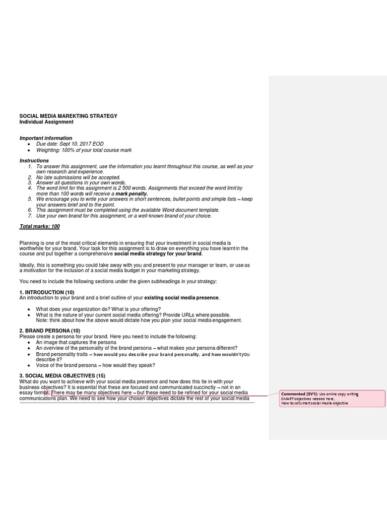 Social Media Marketing Strategy Assignment | PDF | Social Media ...