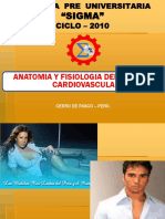 3.- Anatomia Cardiovascular2010