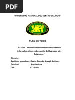 Plan de Tesis-borrador 01