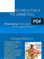 1diapostivas de Diabetes Mellitus y Pie Diabético Terminado