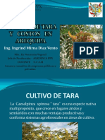 ... Arequipa-Cultivo de Tara y Costos Agroinca PPX