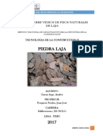 Informe Piedra Laja