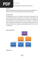 . Problemas de Sobrepoblación, Migración, Crecimiento Urbano