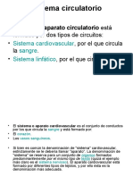 Sistema circulatorio.ppt