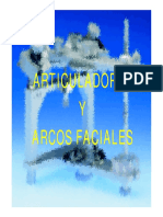 articulador11.pdf