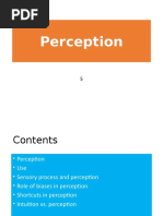 5 Perception.pptx