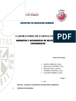 Adrenergicos y Colinergicos