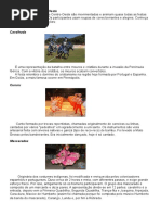 Dança Folclórica Centro Oeste