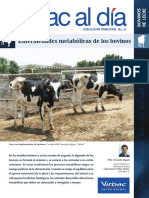 bovinos.pdf