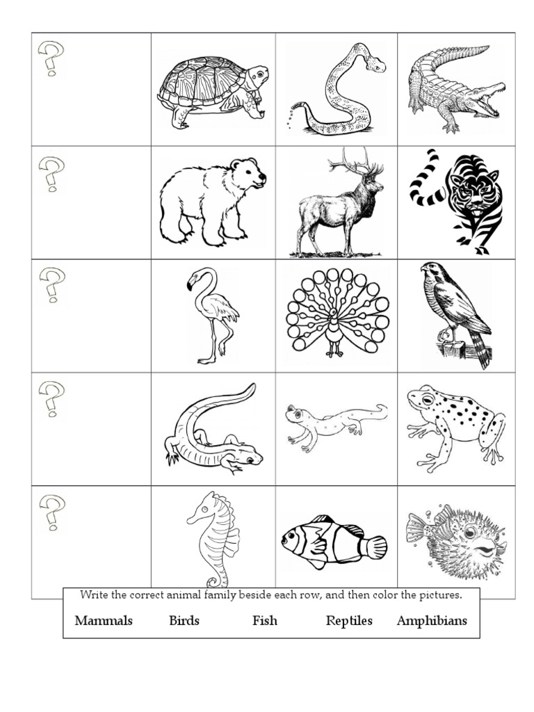 Free Printable Worksheets Animal Classification