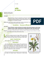 Dialnet-Fisioterapia-202438.pdf